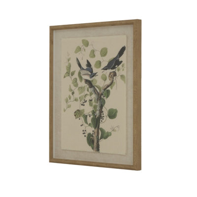 Flora  &  Fauna  Collection  Shrikes  On  Linen  In  Beaded  Frame from B&Q