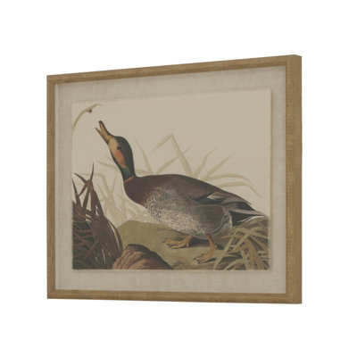 Flora  &  Fauna  Collection  Duck  On  Linen  In  Beaded  Frame from B&Q