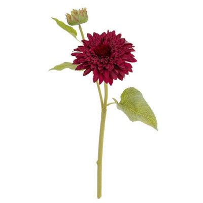 Hill Interiors Dahlia Burgundy Raven Stem Artificial FlowerPlasticH47 CmGreen from B&Q