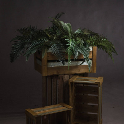 Hill Interiors Uk Homeliving Artificial Fern Bunch from B&Q