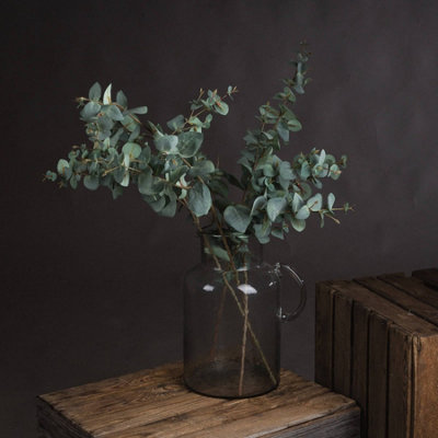 Hill Interiors Uk Homeliving Variegated Eucalyptus