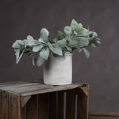 Hill Interiors Uk Homeliving Artificial Lambs Ear Spray