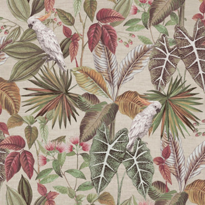 B&Q -  Vintage Parrot Multi Wallpaper
