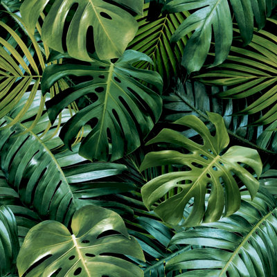 Arthouse Living Wall Wallpaper Green