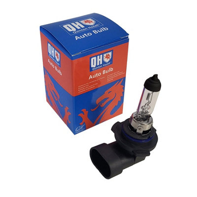 Quinton Hazell Vehicle 12V 51W Hb4 P22D Special Halogen Headlamp BulbQbl9006 from B&Q