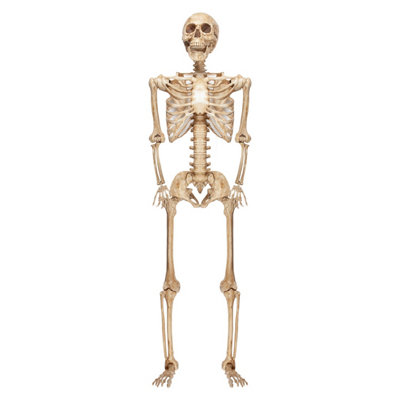 Giant 7Ft Halloween Skeleton Hanging Decoration Trick Or Treat Party  White from B&Q