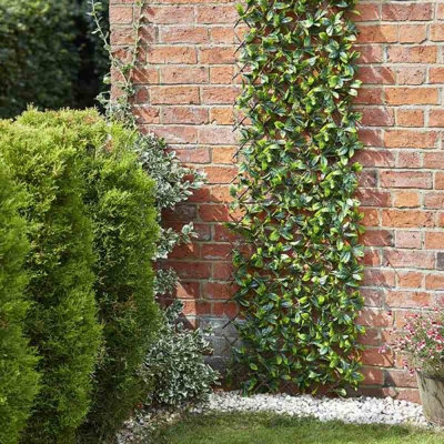 Smart Garden 60Cm X 180Cm Expanding Lemon Leaf Trellis Wheelie Bin Screen from B&Q