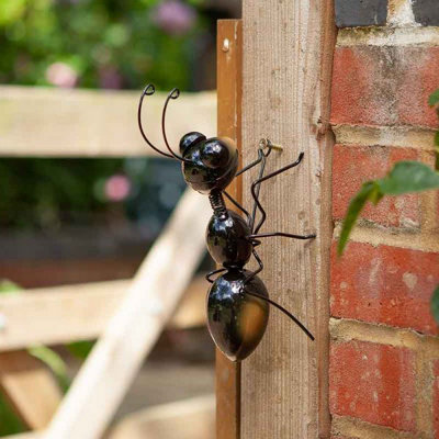 Marco Paul Ant Metal Garden OrnamentMedium from B&Q