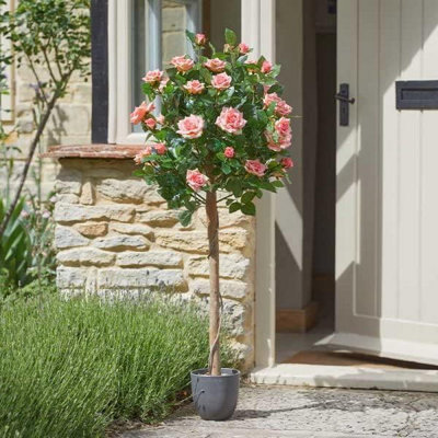 Smart Garden Marco Paul 120Cm Rose Tree In PotPerfect Pink from B&Q