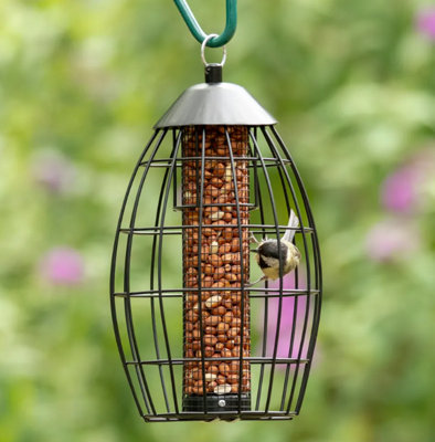 Hagens Singapore Guardian Peanut Feeder from B&Q