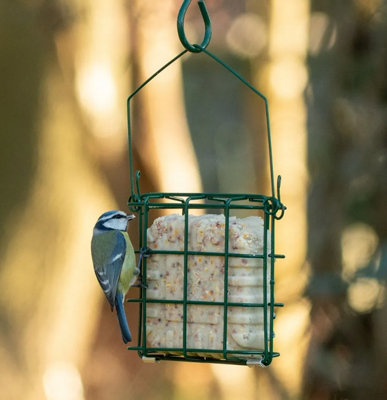 Hagens Rhine Bird Cake Square Feeder By National Trust from B&Q