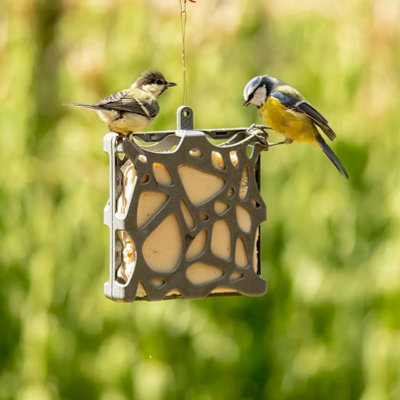 Hagens Anna Recycled Cake Bird Feeder By National Trust from B&Q