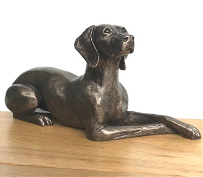 B&Q -  Weimaraner Dog Figurine In Solid Cold Cast Bronze Designed By Harriet Glen