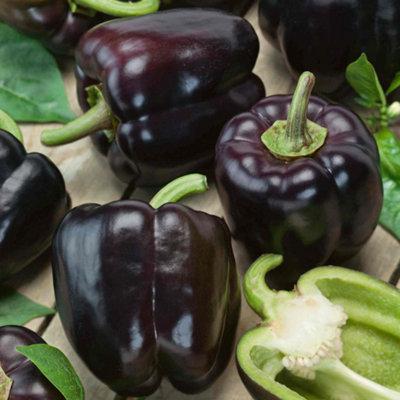 B&Q -  Sweet Cardinal F1 Pepper Seeds15 Per PackDisease-ResistantHigh-Yield