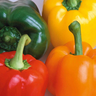 B&Q -  Pepper Seeds 'salad Festival' F1Mixed RedYellow And Green (Approx 15 Seeds)