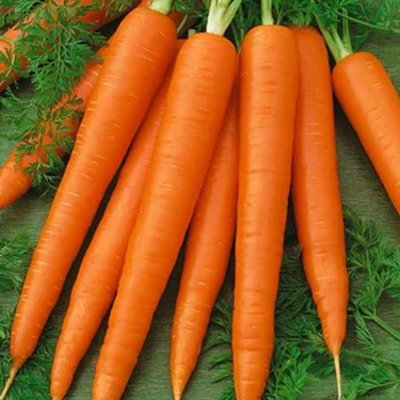 Unwins Unwin Vegetable SeedsCarrot Sweet Candle  Seeds from B&Q