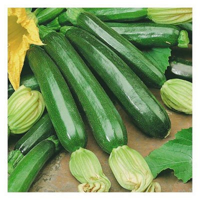 Unwins Unwin Vegetable Seeds Courgette Firenze F1 from B&Q