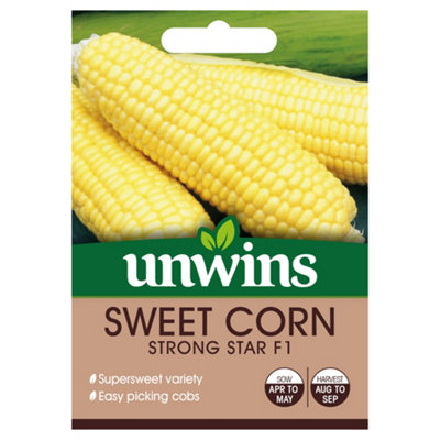 Unwins Sweetcorn Strong Star F Easy To Grow Seeds from B&Q