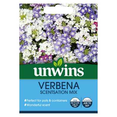 Unwins Verbena Scentsation Mix Easy To Grow Seeds from B&Q