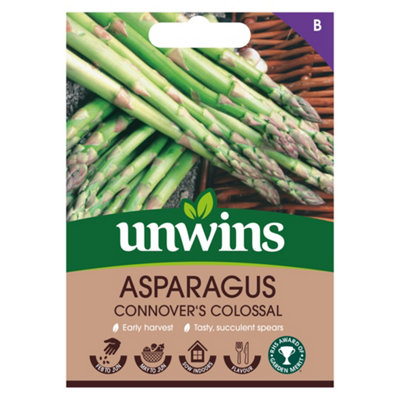 B&Q -  Asparagus Connover's Colossal Easy To Grow Seeds