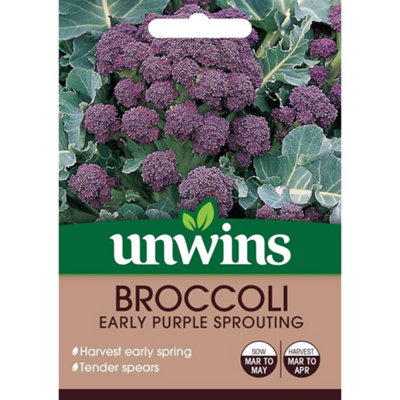 Unwins Vegetable Seeds Broccoli Early Purple Sprouting Seeds from B&Q