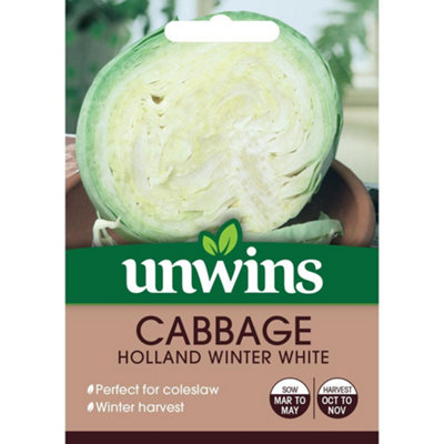 Unwins Vegetable Seeds Cabbage Holland Winter White Seeds from B&Q