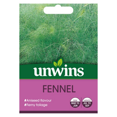Unwins Herb Fennel Easy To Grow Seeds from B&Q