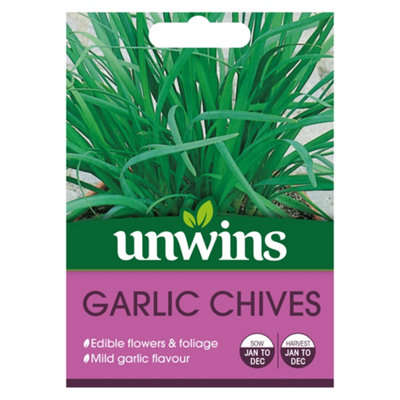 Unwins Herb Garlic Chives Easy To Grow Seeds from B&Q