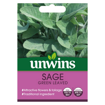 B&Q -  Herb Sage Green Leaved Easy To Grow Seeds