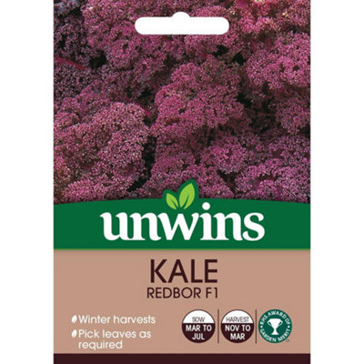 Mr Fothergills Unwins Vegetable Seeds Kale Redbor F1 from B&Q