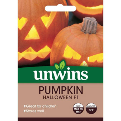 Unwins Vegetable Seeds Pumpkin Halloween F1 from B&Q