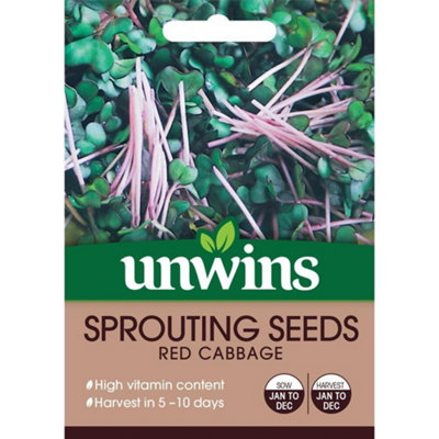 Unwins Vegetable Seeds Sprouting Seeds Red Cabbage Seeds from B&Q