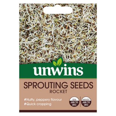 Unwins Sprouting Seeds Rocket Easy To Grow Seeds from B&Q