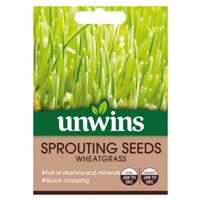 Unwins Sprouting Seeds Wheatgrass Easy To Grow Seeds from B&Q