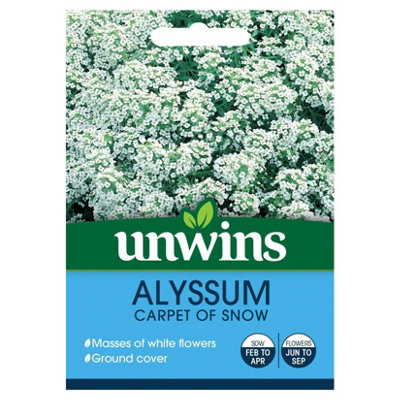 Unwins Flower SeedsAlyssum Carpet Of Snow from B&Q