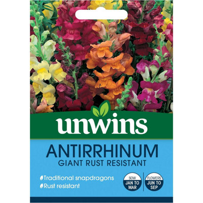 Unwins Flower SeedsAntirrhinum Giant Rust Resistant from B&Q