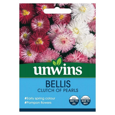 Unwins Flower SeedsBellis Clutch Of Pearls Flower from B&Q