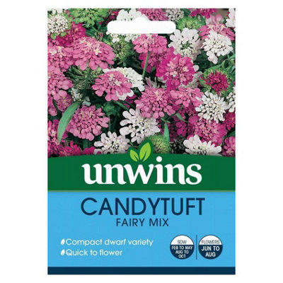 B&Q -  Flower SeedsCandytuft Fairy Mix