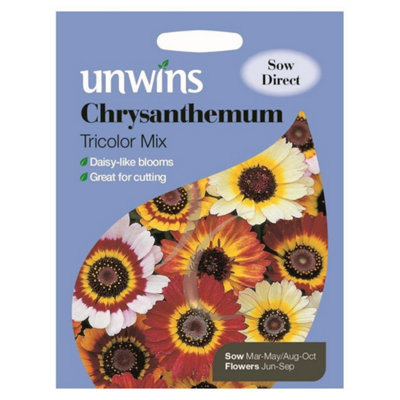 Unwins Flower SeedsChrysanthemum from B&Q