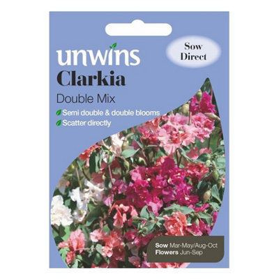 B&Q -  Flower SeedsClarkia Double Mix