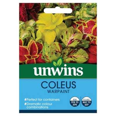 B&Q -  Flower SeedsColeus Warpaint