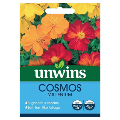 Unwins Flower SeedsCosmos Millenium from B&Q