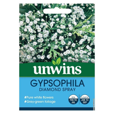 Unwins Flower SeedsGypsophila Diamond Spray from B&Q