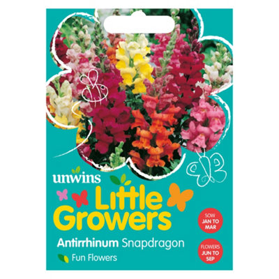 Unwins Little Growers Antirrhinum Snapdragon from B&Q