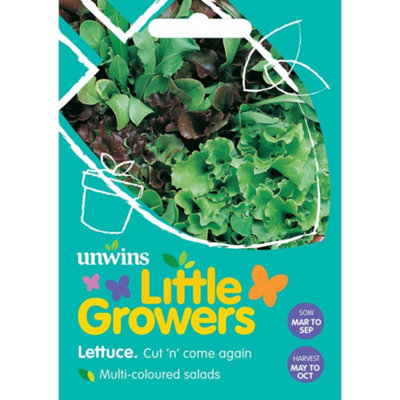 Unwins Little Growers Seeds Lettuce Cut 'n' Come Again Seeds from B&Q