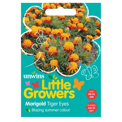 Unwins Little Growers Marigold Tiger Eyes from B&Q