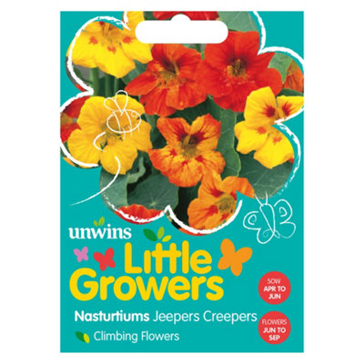 Unwins Little Growers Nasturtium Jeepers Creepers from B&Q