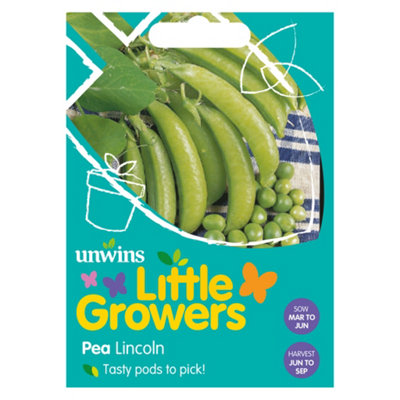 B&Q -  Little Growers Pea Lincoln Easy To Grow Seeds