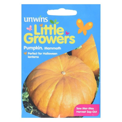 Unwins Little Growers Seeds Pumpkin Mammoth from B&Q