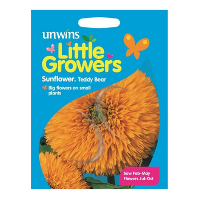 Unwins Little Growers Seeds Sunflower Teddy Bear from B&Q